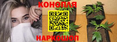 ПСИЛОЦИБИНОВЫЕ ГРИБЫ Уссурийск