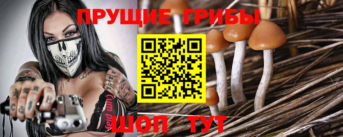 Псилоцибиновые грибы Magic Shrooms  Галлюциногенные грибы прущие грибы  Вход с VPN  Амурск 
